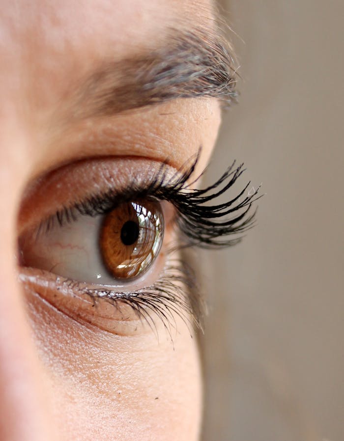 eye-eyelashes-face-woman-63320 Women's Black Mascara